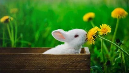 中卫伴游，定制QQ：3494206190微信：act1322